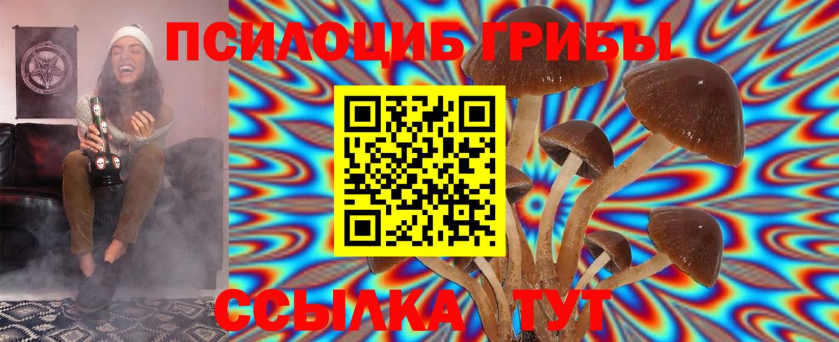 Псилоцибиновые грибы Magic Shrooms  цены   Полевской  Вход с VPN 
